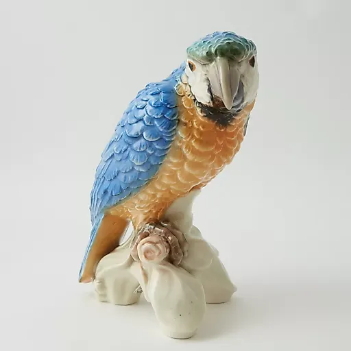 Попугай - View 3