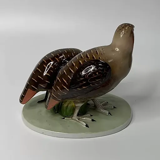 Пара куропаток - View 5