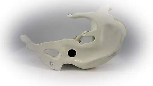 Борзая - View 3