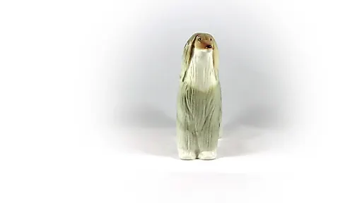 Афганская борзая