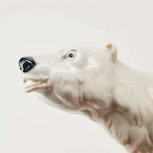 Белый медведь - View 6