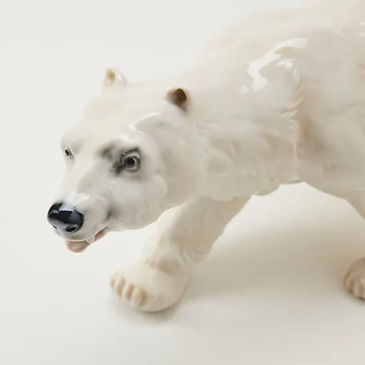 Белый медведь - View 7