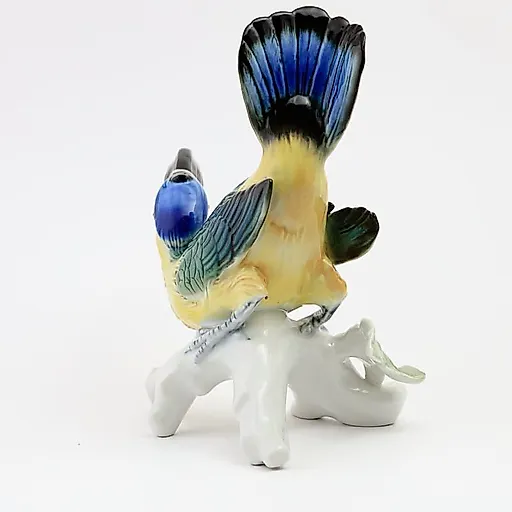 Тукан арасари - View 2