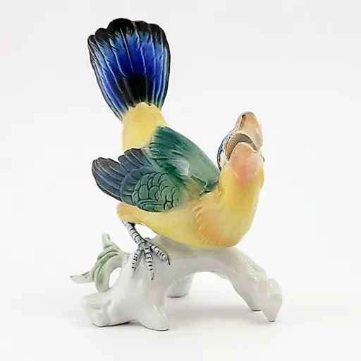 Тукан арасари - View 6