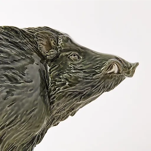 Дикий кабан - View 4