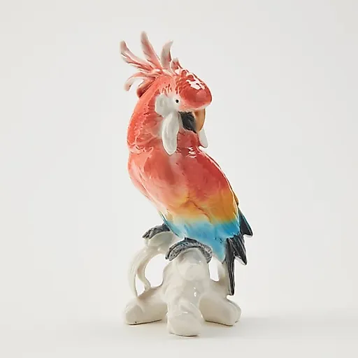 Попугай Какаду