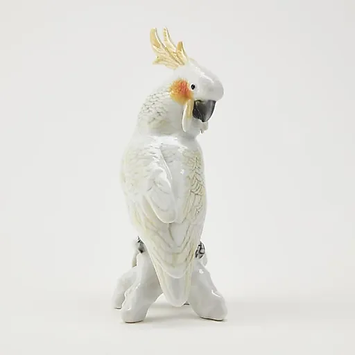 Попугай Какаду - View 4