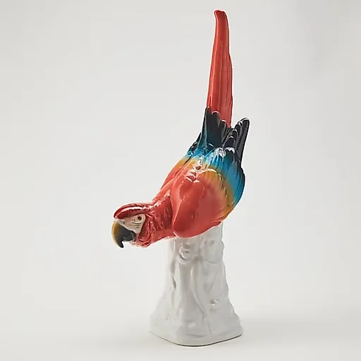 Попугай Ара