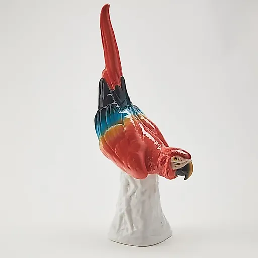 Попугай Ара - View 3