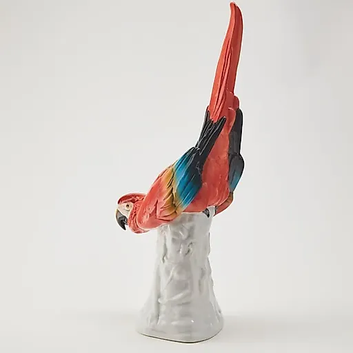 Попугай Ара - View 4