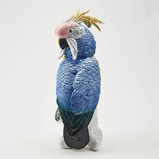 Попугай - View 5