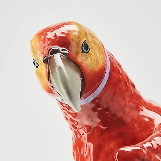 Попугай большой с красно-желтым оперением - View 4