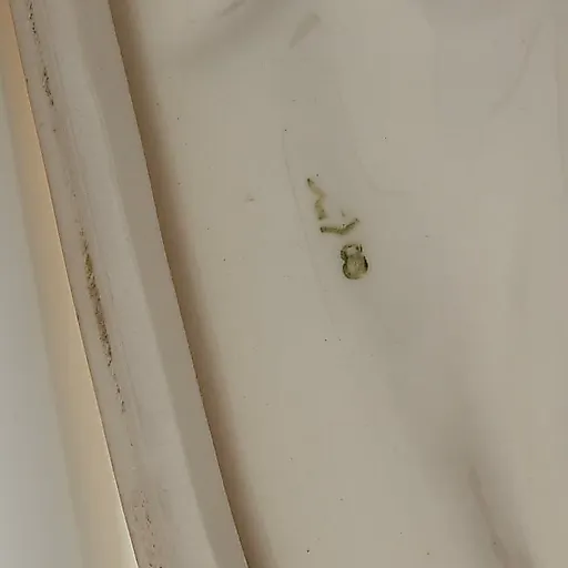 Гончие - View 7