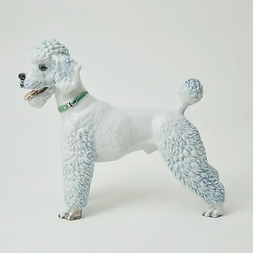 Пудель - View 2