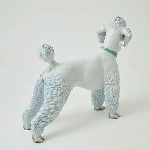 Пудель - View 4