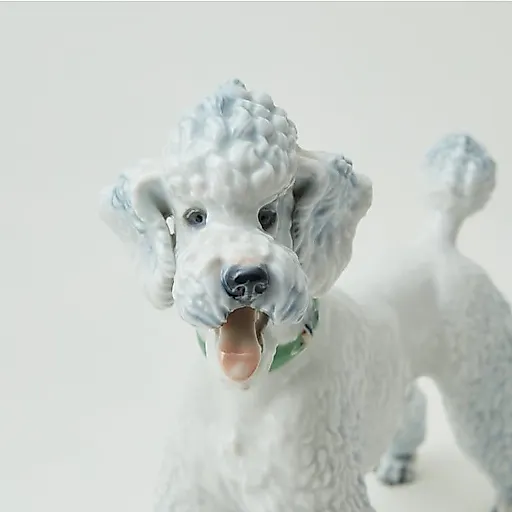 Пудель - View 5