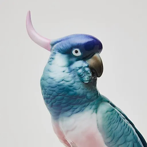 Попугай Какаду - View 4