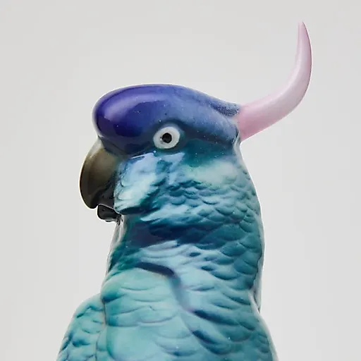 Попугай Какаду - View 6