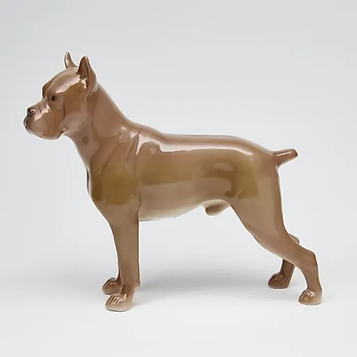 Боксер - View 2