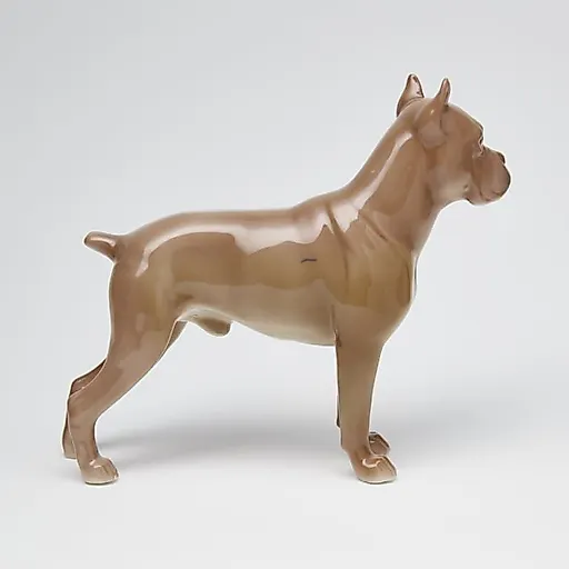 Боксер - View 4