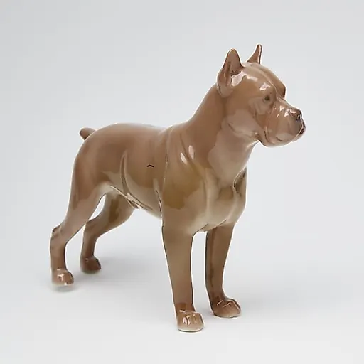 Боксер - View 5