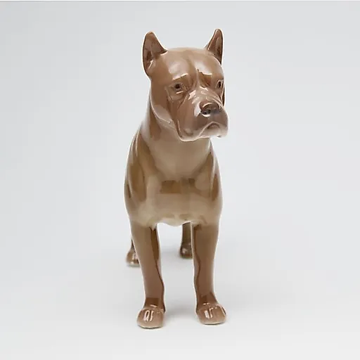 Боксер - View 6