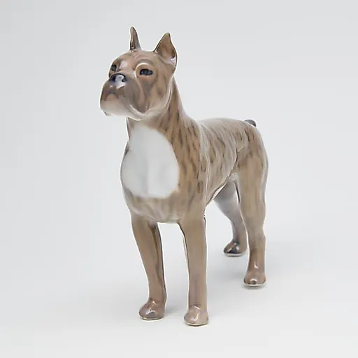 Боксер - View 3