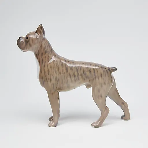 Боксер - View 4