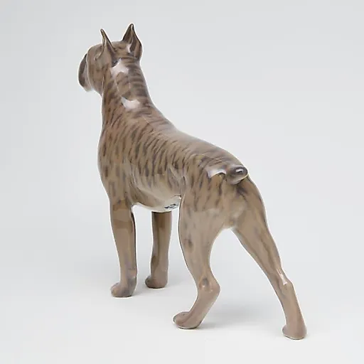 Боксер - View 5