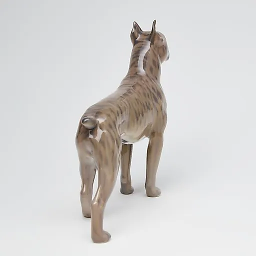 Боксер - View 6