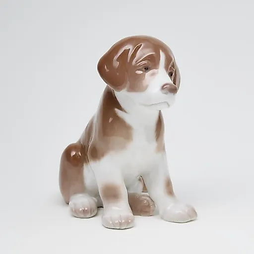 Сенбернар щенок - View 2