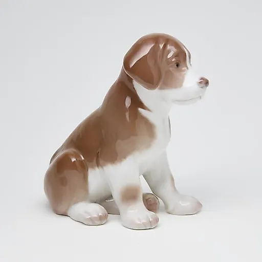 Сенбернар щенок - View 6