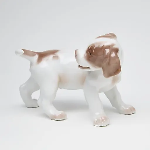 Поинтер гоняется за хвостом - View 2