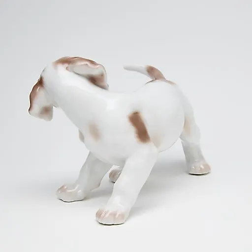 Поинтер гоняется за хвостом - View 3