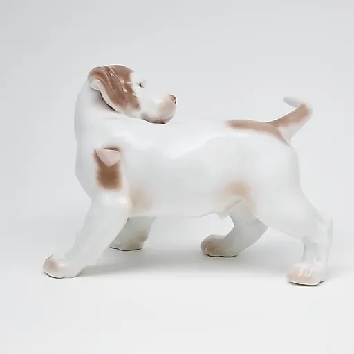 Поинтер гоняется за хвостом - View 4