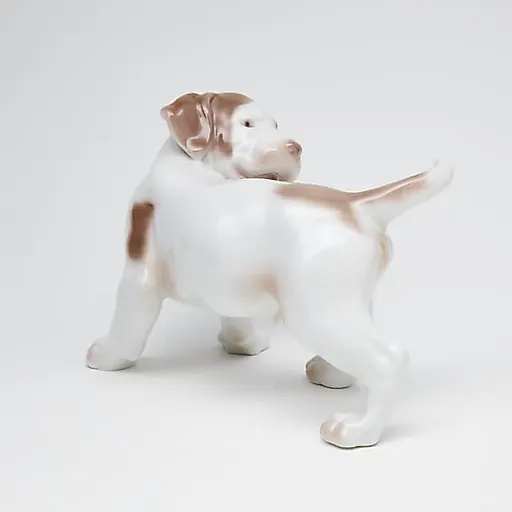 Поинтер гоняется за хвостом - View 5