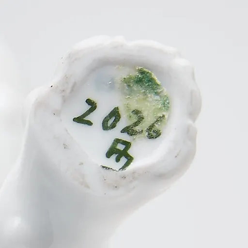 Поинтер гоняется за хвостом - View 6