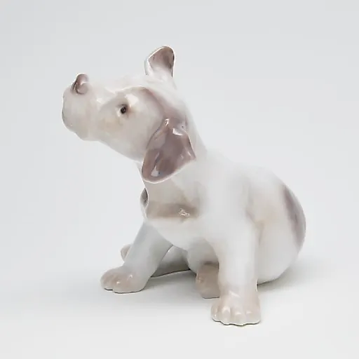 Фокстерьер - View 5