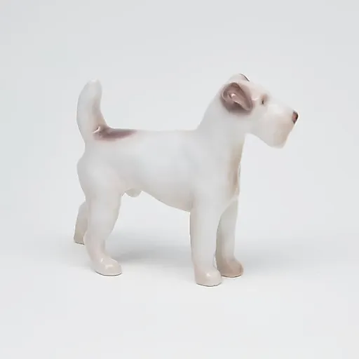 Фокстерьер - View 5