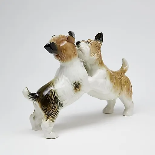 Терьеры играются - View 3