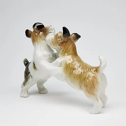 Терьеры играются - View 5