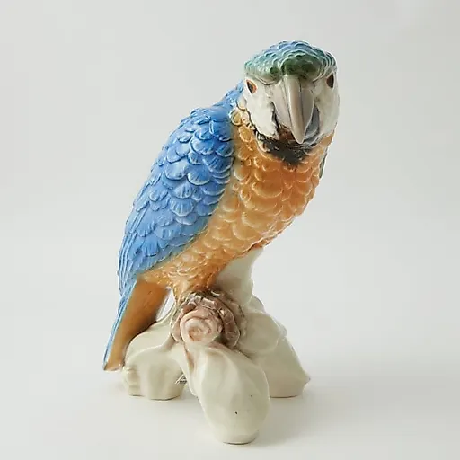 Попугай - View 3