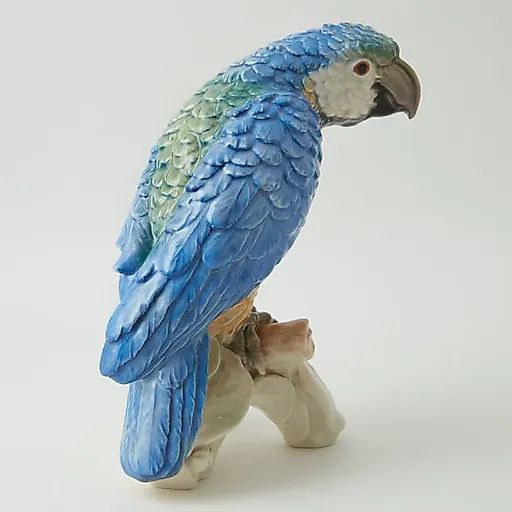 Попугай - View 4