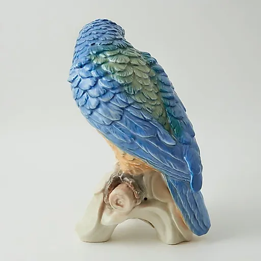 Попугай - View 6