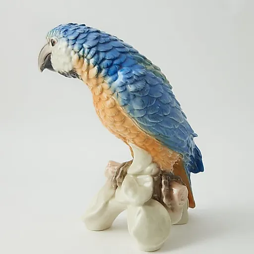 Попугай - View 7