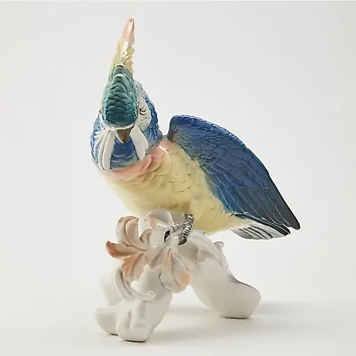 Попугай Какаду - View 2