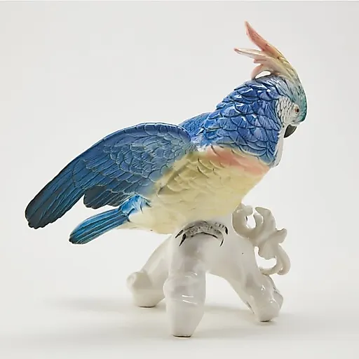 Попугай Какаду - View 4