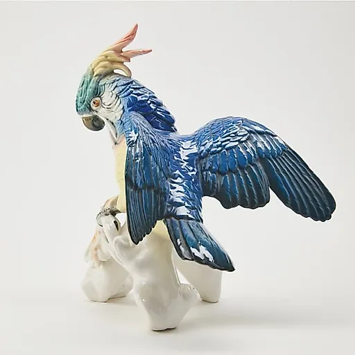 Попугай Какаду - View 5