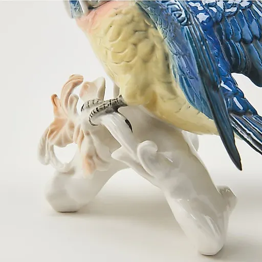 Попугай Какаду - View 7