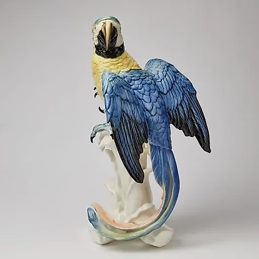 Попугай - View 3